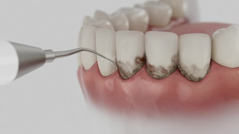Reliable Dental contractor in Mount Airy, GA by Dentist Open Now